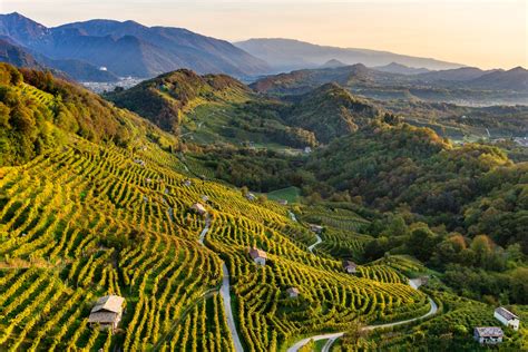 Vino e Prosecco Conegliano Valdobbiadene .